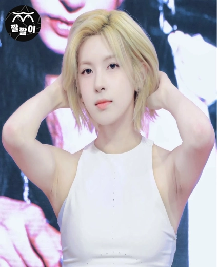 잔득 주름진 엔믹스 배이 겨주름