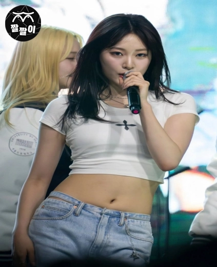 위클리 고양이상