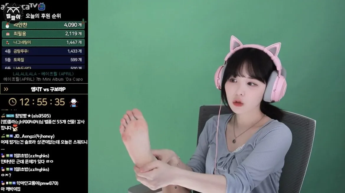 숲트리머 여캠 발바닥 모음집